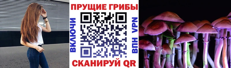 Галлюциногенные грибы прущие грибы  цены   Эртиль 